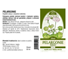 Obrázek Naděje - Pelargonie - tinktura z byliny T31 50 ml