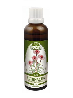 Obrázek Naděje - Echinacea - tinktura z byliny T7 50 ml